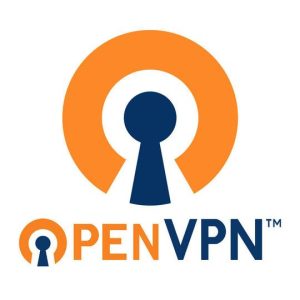 OpenVPN Server Singapore